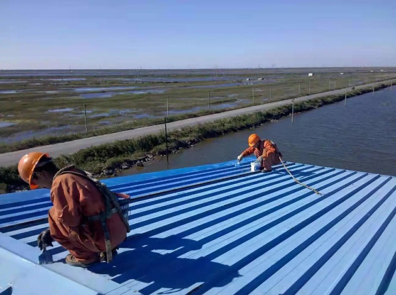 定陶彩钢瓦屋面防腐翻新